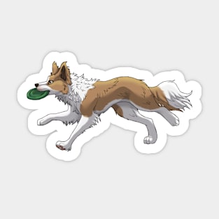 Running Golden Border Collie with Frisbee Sticker